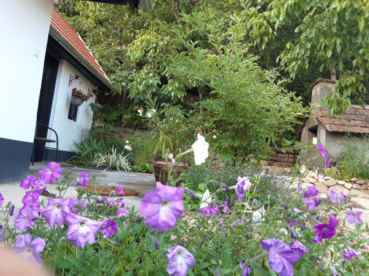 Kismadar Vendeghaz Noszvaj Exterior foto
