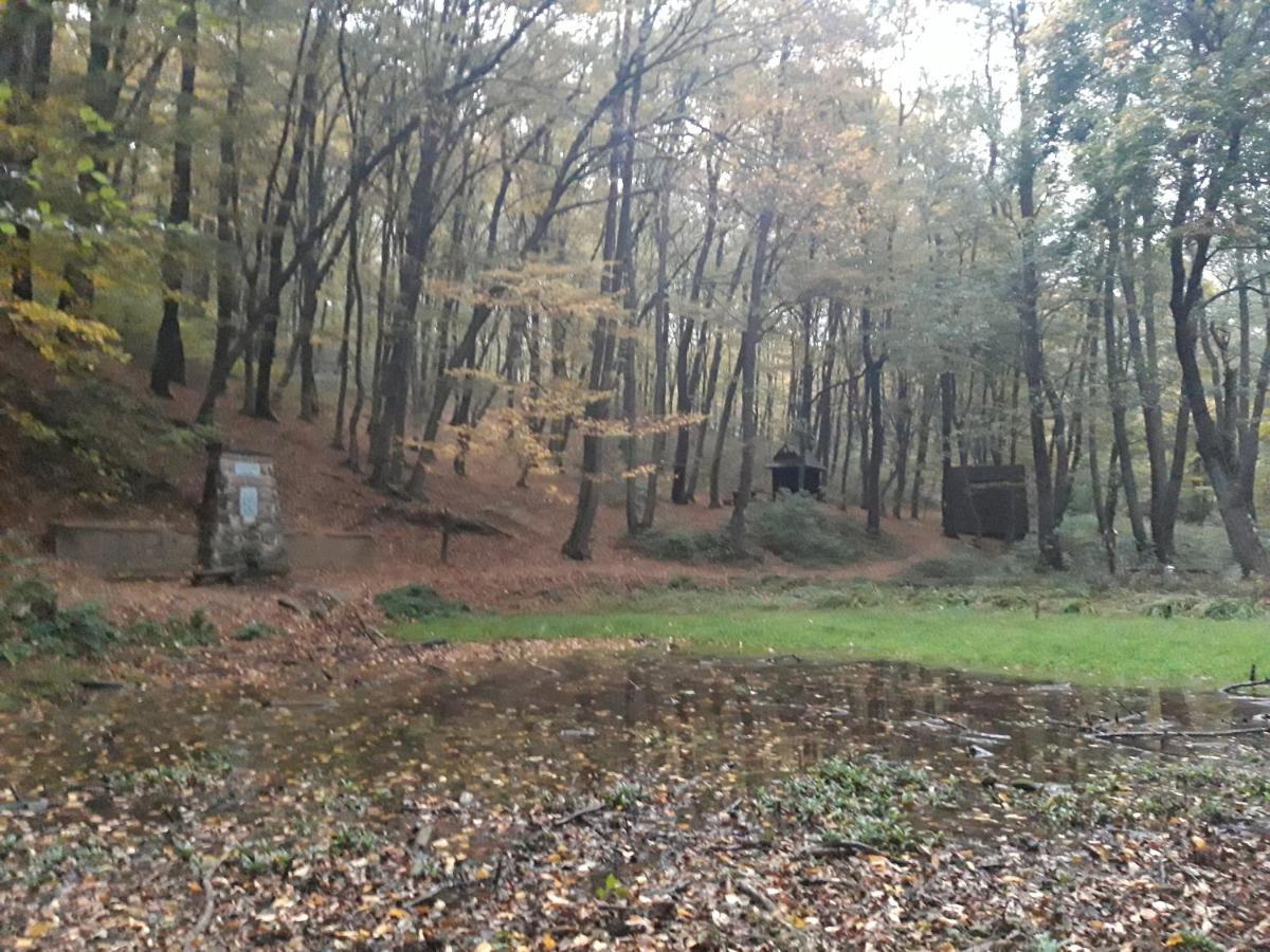 Kismadar Vendeghaz Noszvaj Exterior foto