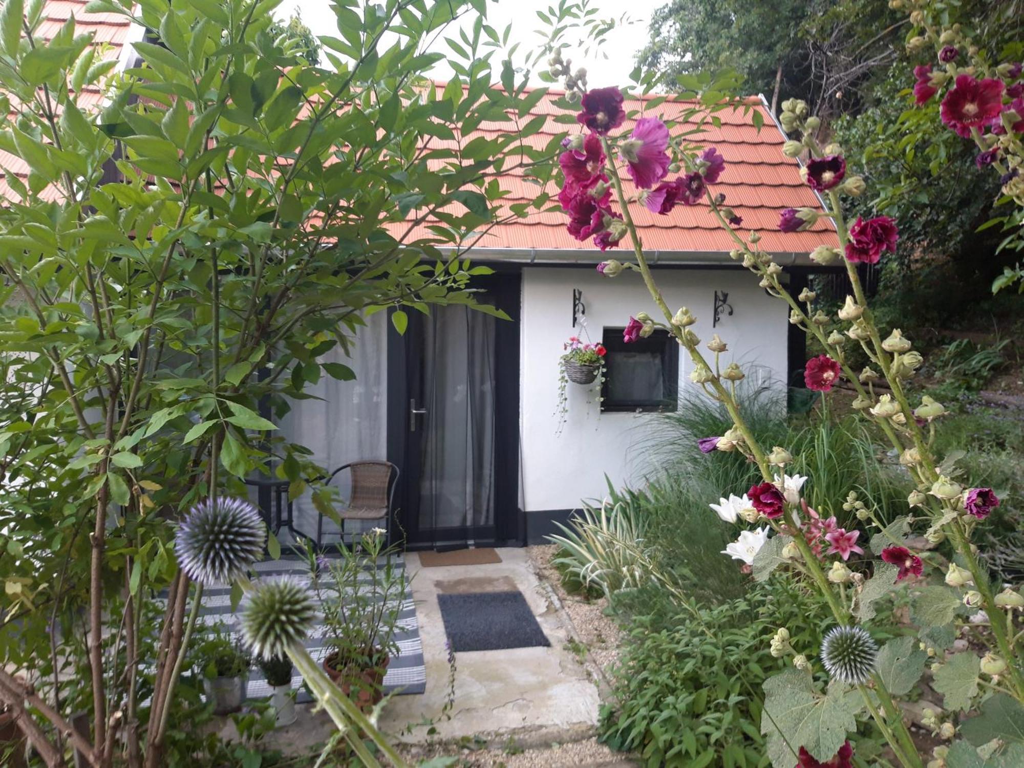 Kismadar Vendeghaz Noszvaj Quarto foto