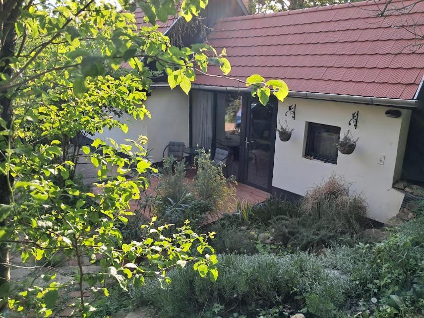 Kismadar Vendeghaz Noszvaj Exterior foto